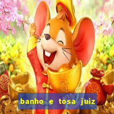 banho e tosa juiz de fora